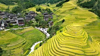 【龍脊神韻】<龍脊梯田、大漓江四星船、銀子巖、遇龍河4天3晚高鐵團>20人內(nèi)精品小團